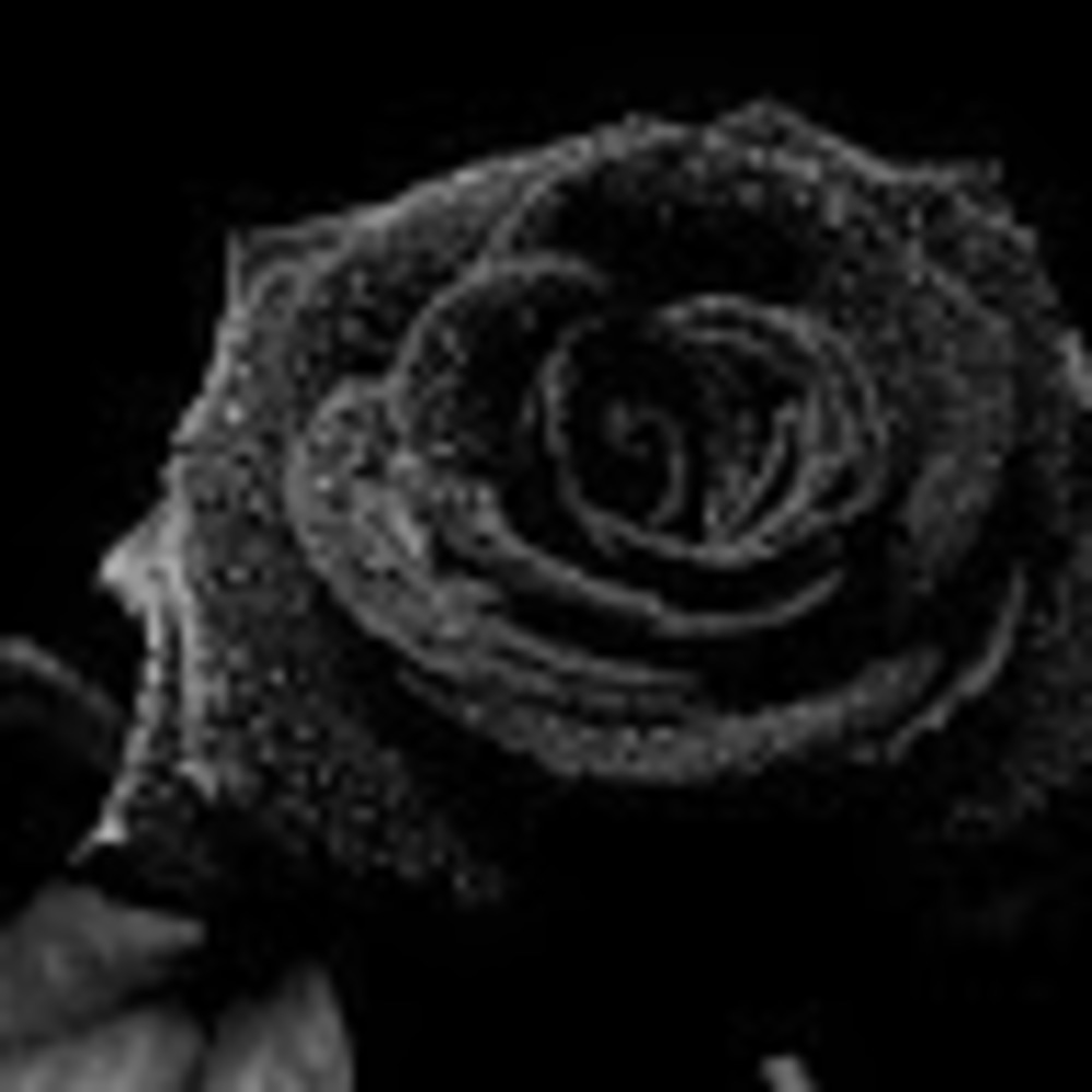 Meet your Posher, Vanesa